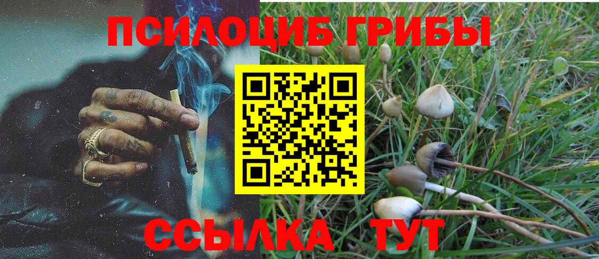 Клинцы  Галлюциногенные грибы MAGIC MUSHROOMS  Вход с VPN 