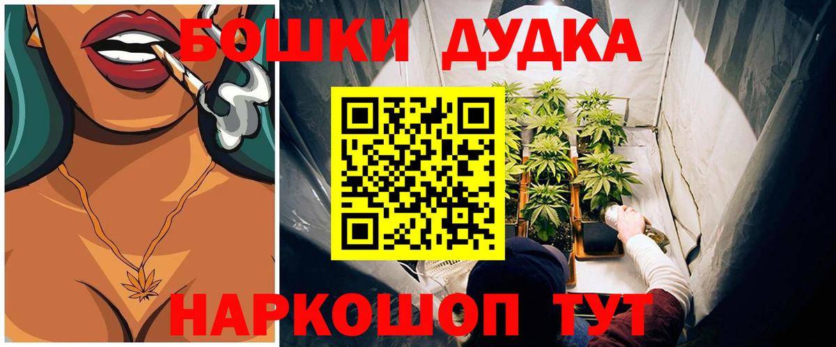 Бошки марихуана план  Вход с VPN  Бошки марихуана ГИДРОПОН  Клинцы 